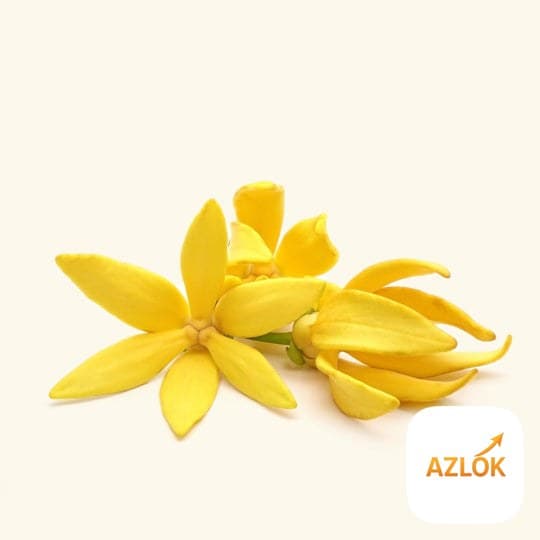 Ylang Ylang Essential Oil - Image 1