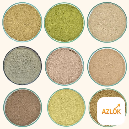 Azlok 10 in 1 Herbal Hair Care Powder Kit: How to Use It for Stronger, Healthier Hair