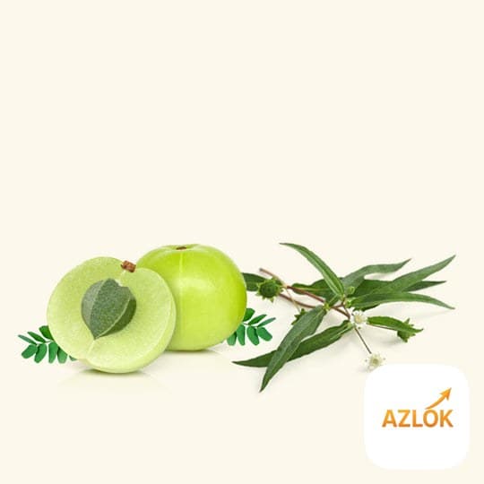 Amla & Bhringraj Fragrance Oil - Image 1