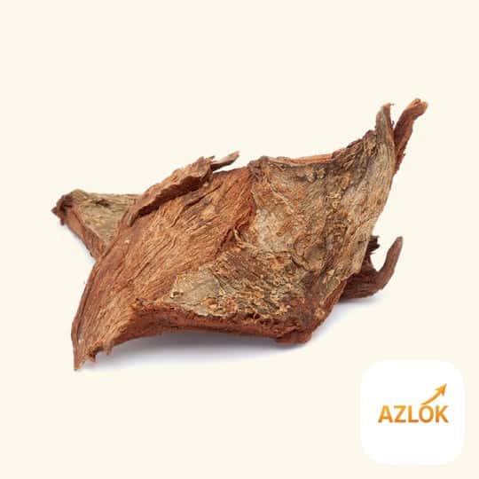 Arjuna Bark Liquid Extract