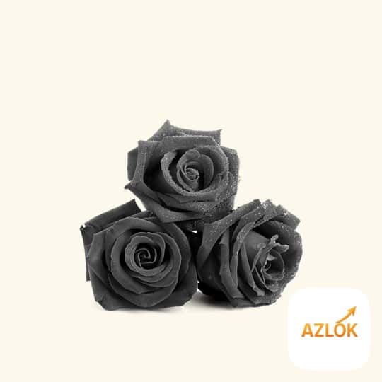 Black Flower Fragrance Oil