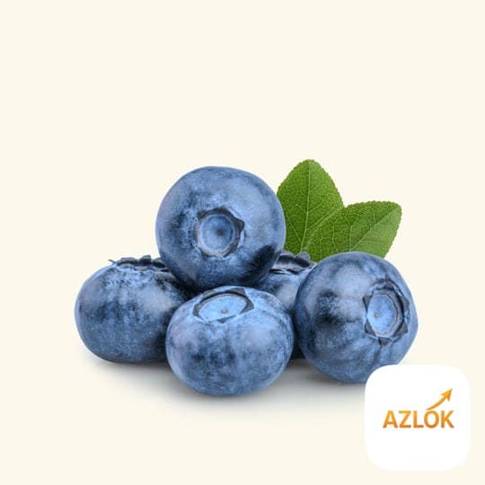 Blueberry Fragrance Oil - Image 1