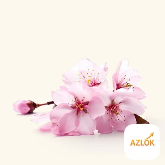 Cherry Blossom Fragrance Oil