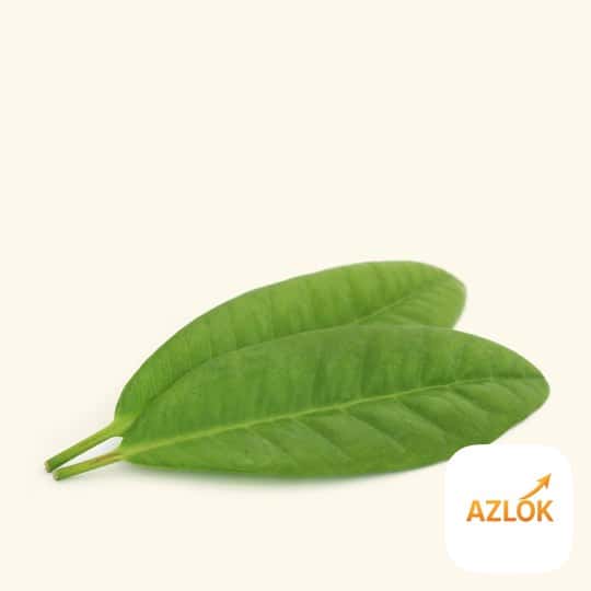 Clove Leaf Essential Oil: Uses for Acne, Dandruff and DIY Blends
