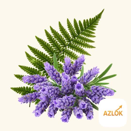 Drakkaris Fragrance Oil