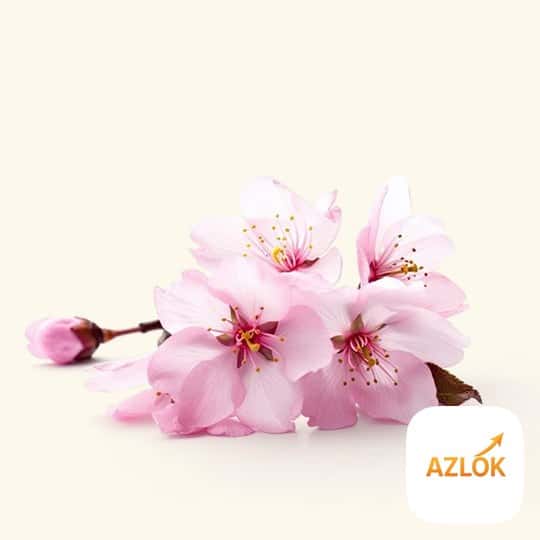 Japanese Cherry Fragrance Oil
