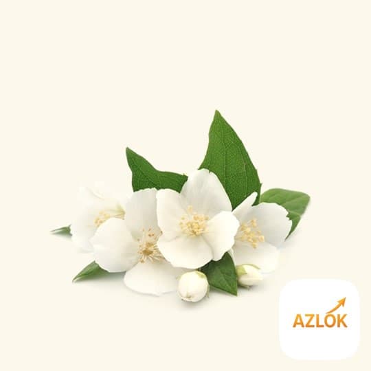 Jasmine Auriculatum Absolute Oil - Image 1