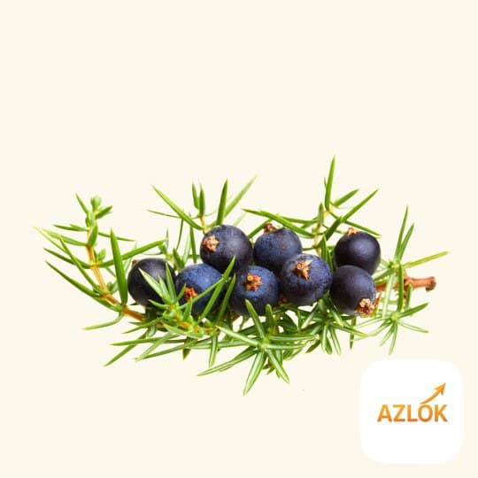 Juniper Berry Essential Oil - Image 1