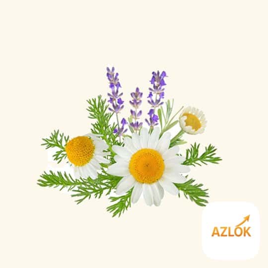 Lavender Chamomile Sandalwood Fragrance Oil: A Calming Scent for Candles, Soaps and Skincare