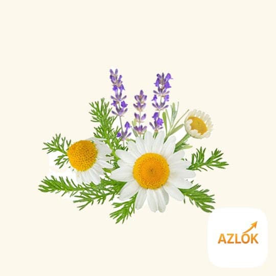 Lavender Chamomile Sandalwood Fragrance Oil