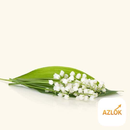 Lily of The Valley Fragrance Oil