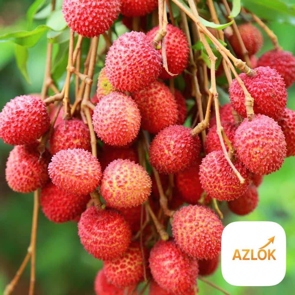 Litchi Fragrance Oil