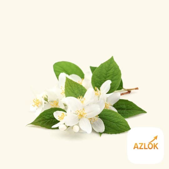 Malli Fragrance Oil - Image 1