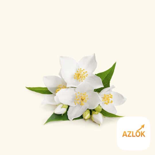 Mogra Fragrance Oil