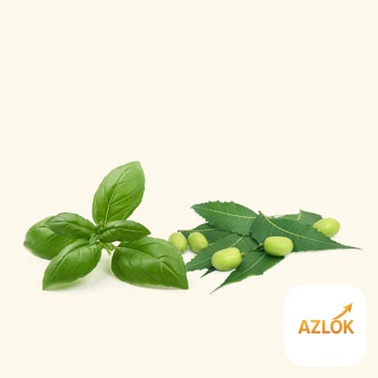 Neem Basil Honey Fragrance Oil - Image 1