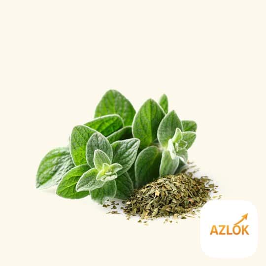 Oregano Essential Oil