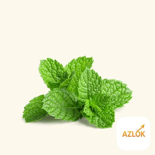 Peppermint Essential Oil