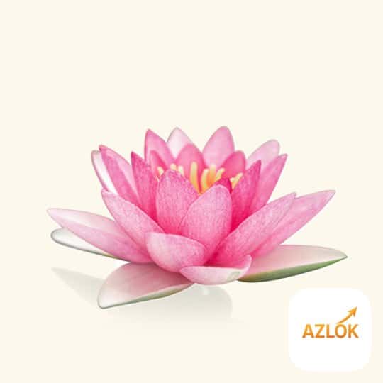 Silk Lotus Shampoo Fragrance Oil