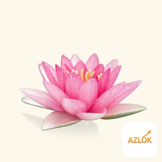 Silk Lotus Shampoo Fragrance Oil - Image 1