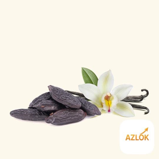 Vanilla & Tonka Fragrance Oil - Image 1