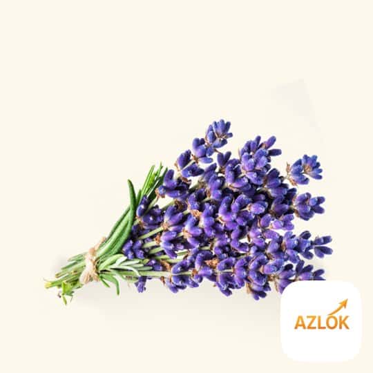 Wild Lavender Fragrance Oil